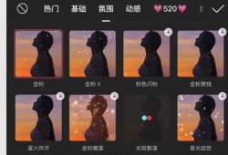 抖音混剪,创意无限，潮流汇聚