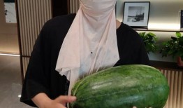 网红大瓜博雅吃瓜视频最全观看